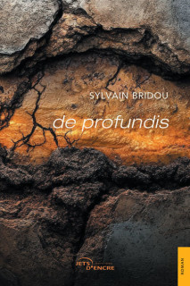 Sylvain Bridou