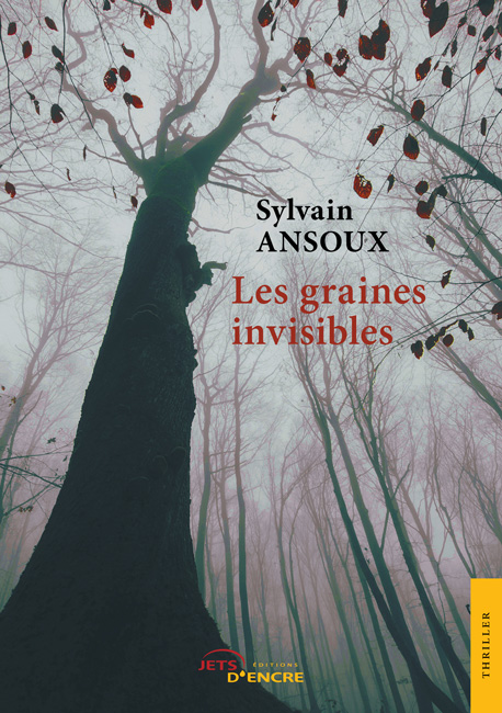 Sylvain Ansoux