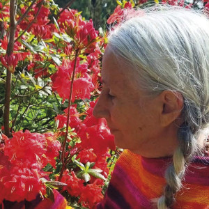 Christine Legalle