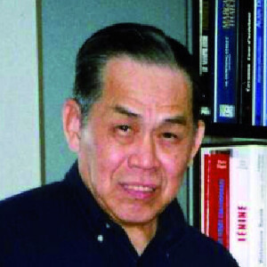 Dong Van