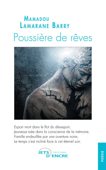 Poussière de rêves