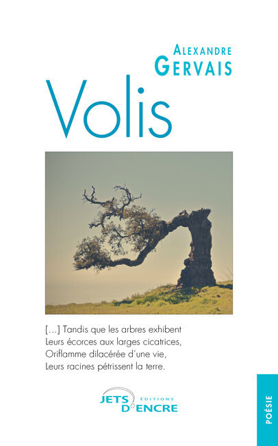 Volis