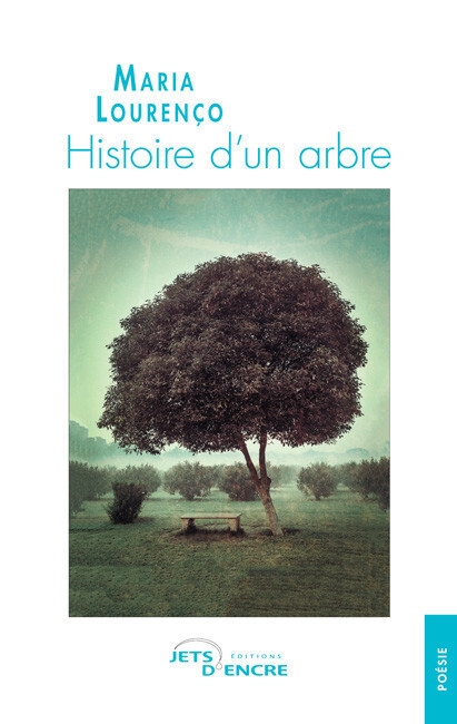 Histoire d’un arbre