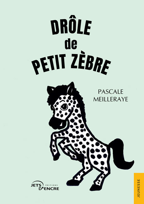 Dr&ocirc;le de petit z&egrave;bre